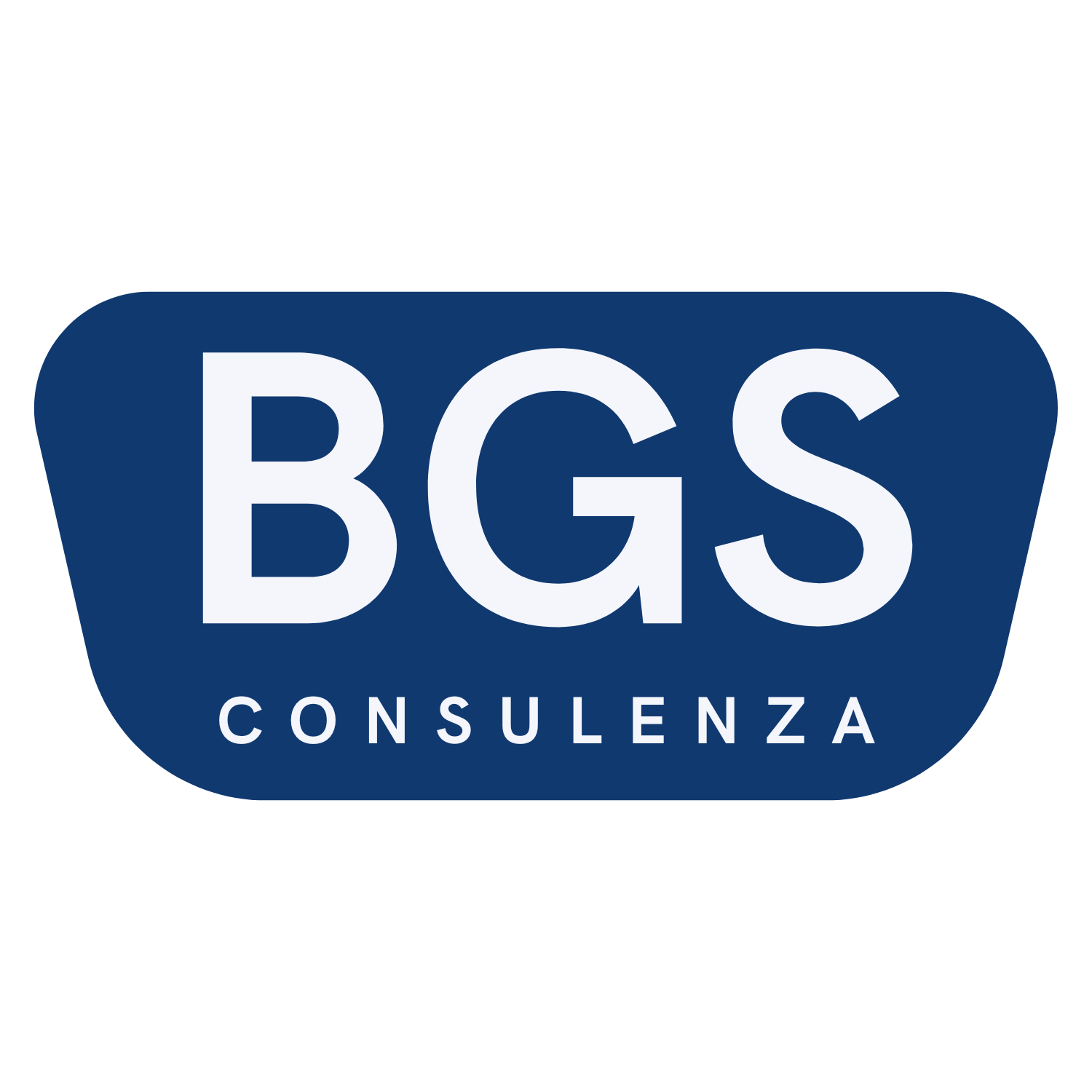 BGS CONSULENZA